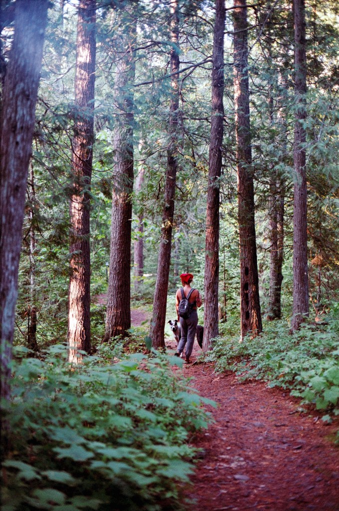 film photo of Liv & Carly hiking in the forest